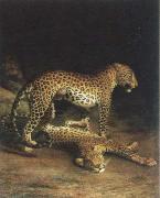 Jacques-Laurent Agasse two leopards playing oil on canvas